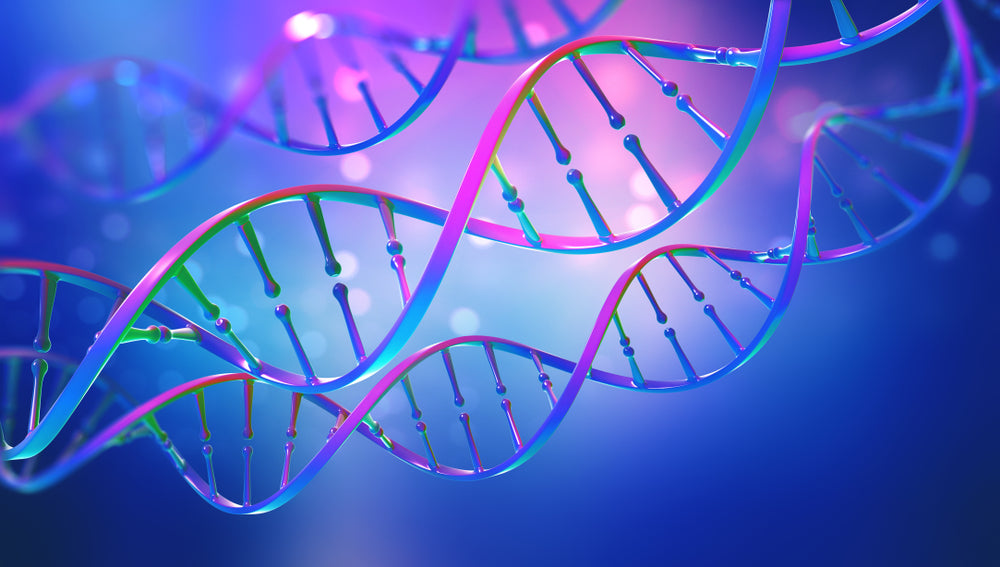 Is Sleep Apnea Hereditary?