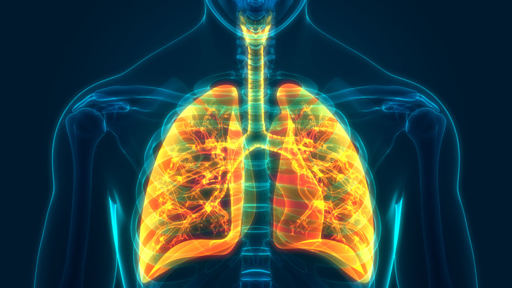 The Connection Between COPD and Sleep Apnea